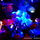 16_JPG-1555894939.jpg