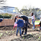 co_ABLUM_EssbStadt_06_04 _5b_.jpg