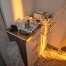 Hanfaufzucht in Wohnung