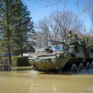 AFP 5.jpg