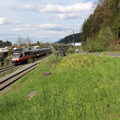 IMG_6540.JPG