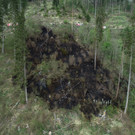 Waldbrand in der Obersteiermark: Feuerwehr im Löscheinsatz
