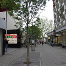 IMG_5421.JPG