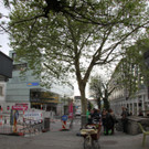 IMG_5419.JPG