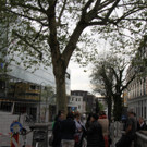 IMG_5417.JPG