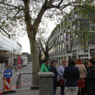 IMG_5412.JPG