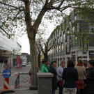 IMG_5411.JPG
