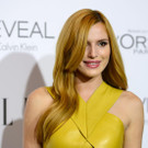 2014 AP 3.jpg