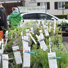 Gartenmarkt war Besuchermagnet