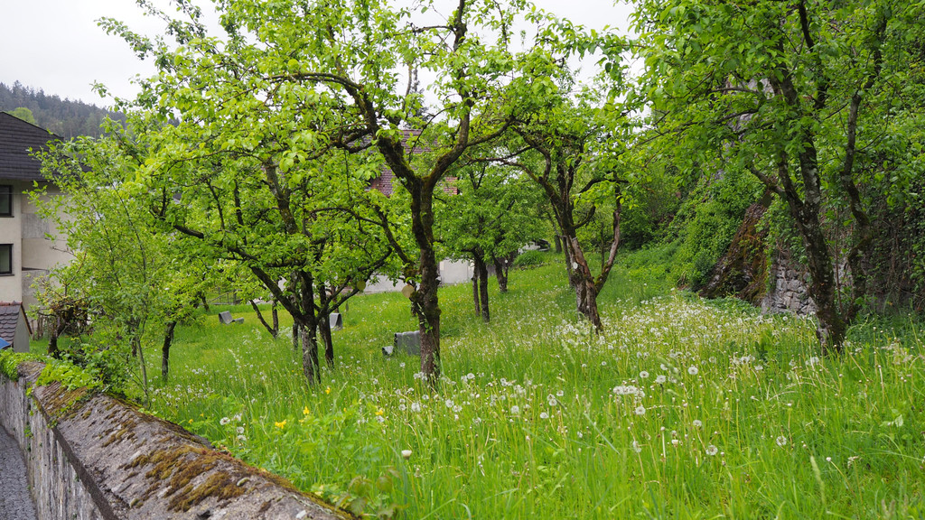 P4280996.JPG