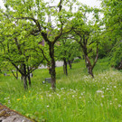 P4280996.JPG