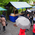 P4281074.JPG