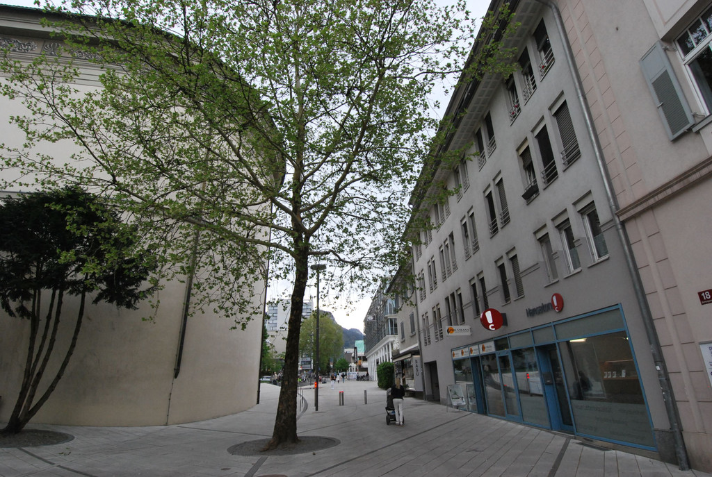 DSC_0460.JPG