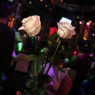 IMG_7341_jpg-1556466045.jpg