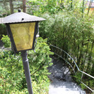 IMG_0917.JPG