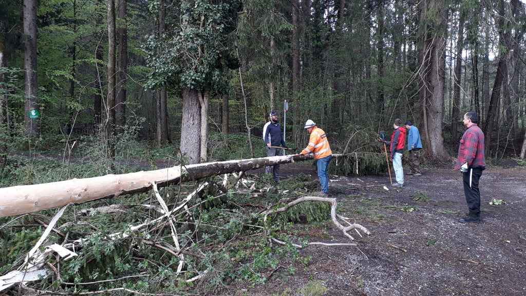 IMG-20190427-WA0009 - Kopie.jpg