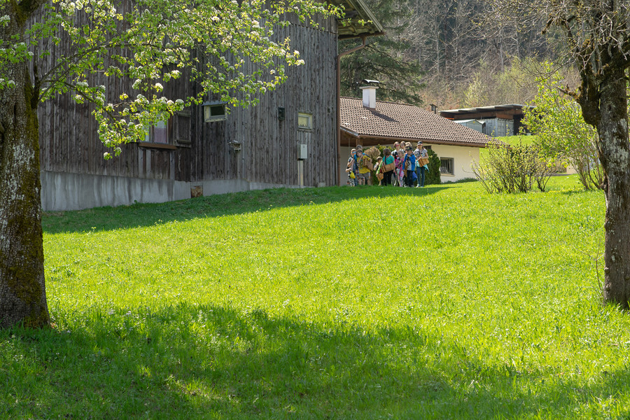 20190419_Ra__tschna_001.jpg