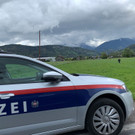 Kamele ausgebüxt
