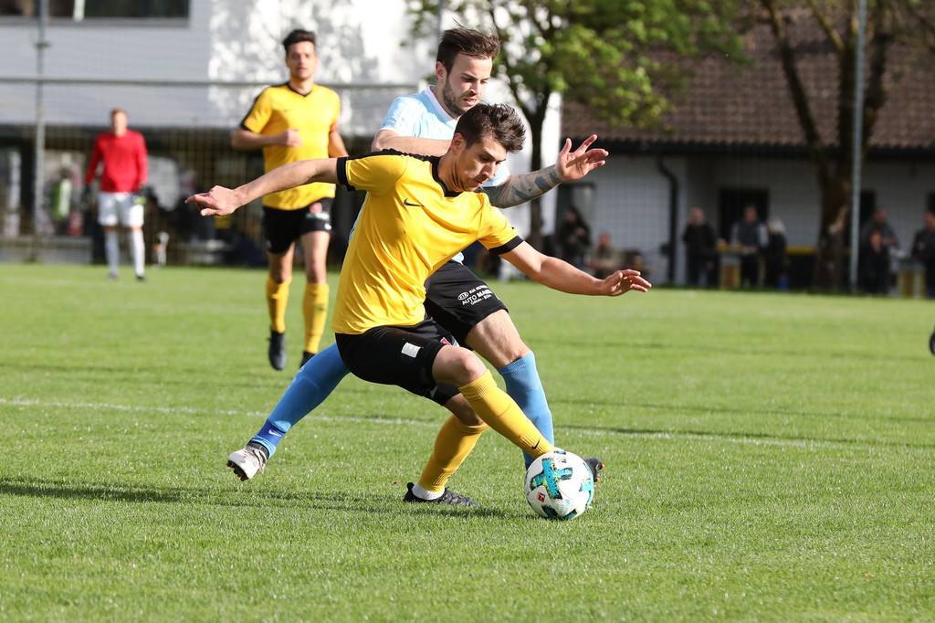 2019-04-28_0311_bearbeitet-1.jpg