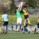 2019-04-28_0441_0442_bearbeitet-1.jpg