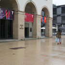 IMG_8722.JPG