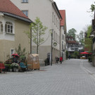 IMG_8736.JPG
