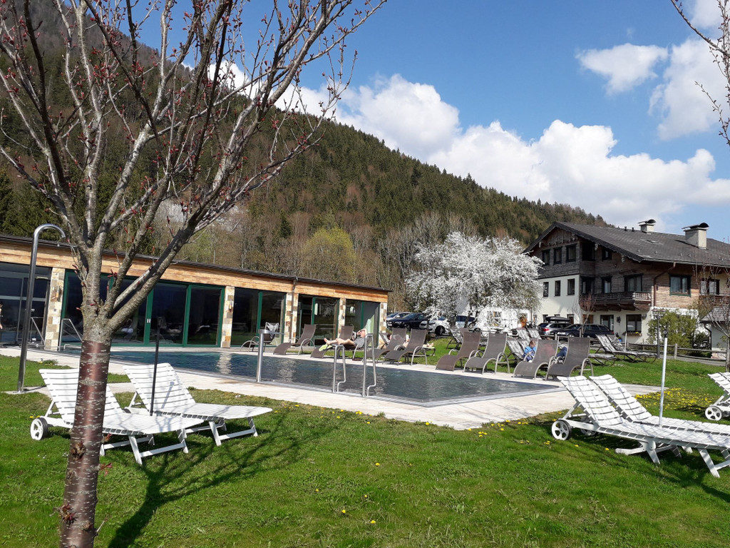 20190415_155157_resized.jpg