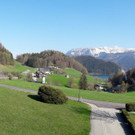 20190417_165533.jpg
