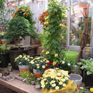 DSC_0007.JPG