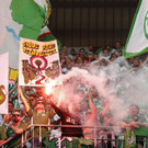 ABD0133-20190501.jpg