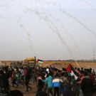 AFP_1FY7YY.jpg