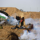 AFP_1FY7YM.jpg