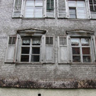 IMG_5584.JPG