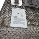 IMG_5587.JPG