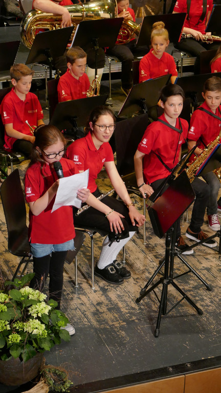 Fr__hjahrskonzert 2019 _7_.JPG