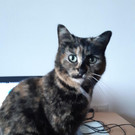 IMG-20190314-WA0010.jpeg