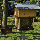 DSC_0065.JPG