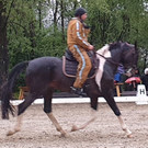 20190504_193602_jpg.jpg
