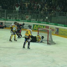 1764335.jpg