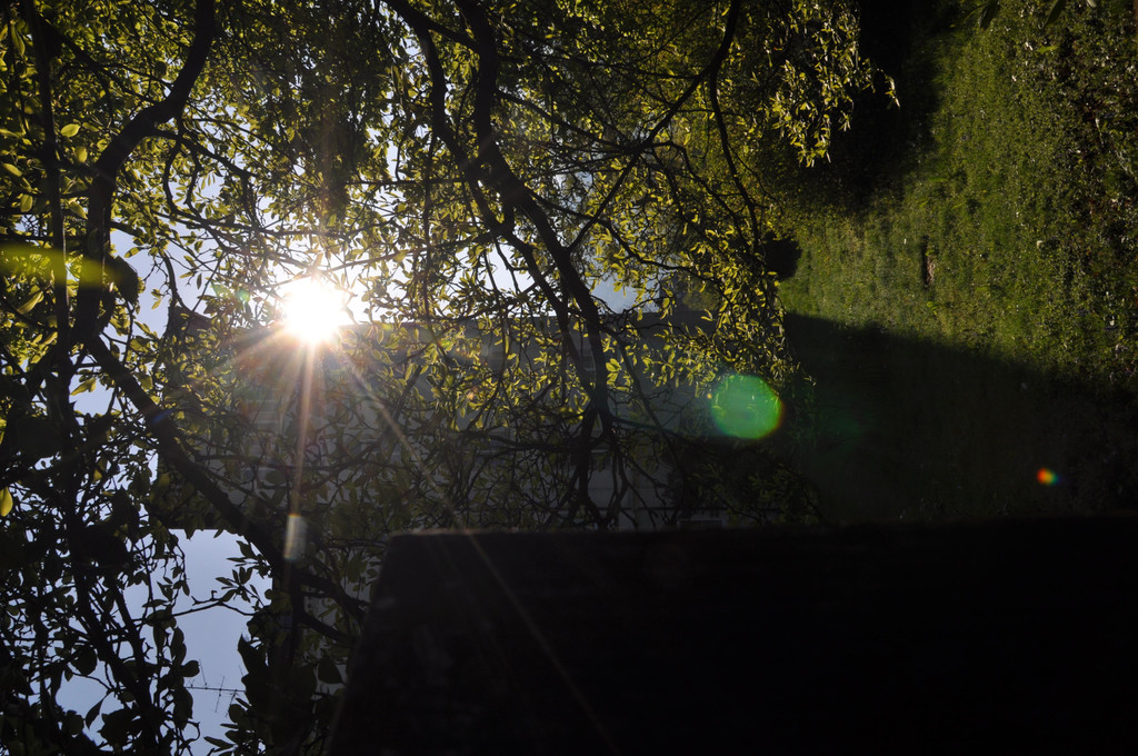 DSC_0058.JPG