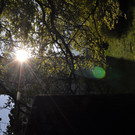 DSC_0058.JPG