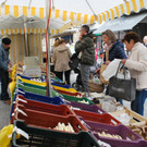 DSC_0417.JPG