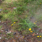 IMG_8917.JPG