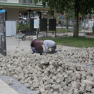 IMG_8884.JPG