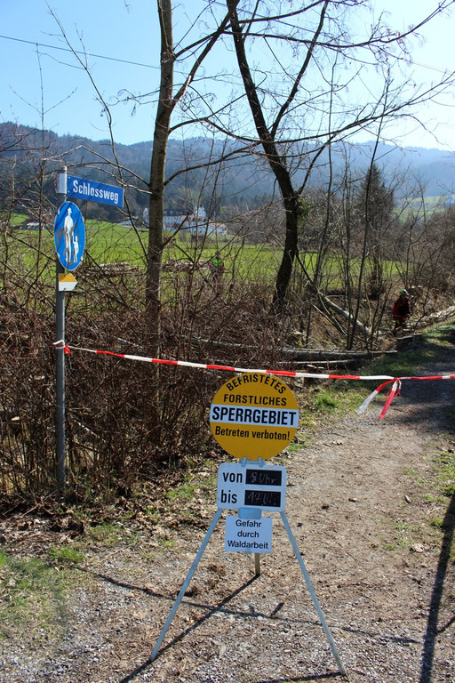 Hoferbach RODUNGEN Hochwasserschutz April 2019 _1_.JPG