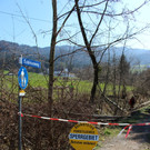 Hoferbach RODUNGEN Hochwasserschutz April 2019 _1_.JPG