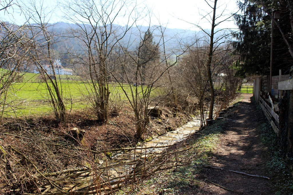 Hoferbach RODUNGEN Hochwasserschutz April 2019 _9_.JPG