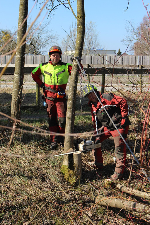 Hoferbach RODUNGEN Hochwasserschutz April 2019 _7_.JPG