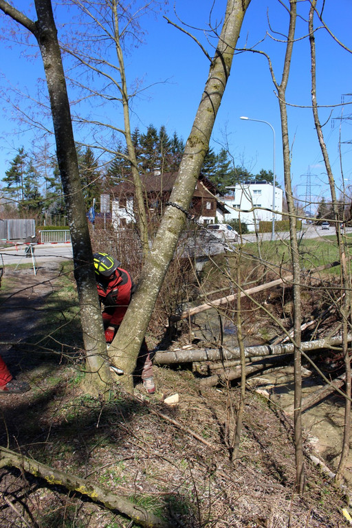 Hoferbach RODUNGEN Hochwasserschutz April 2019 _4_.JPG