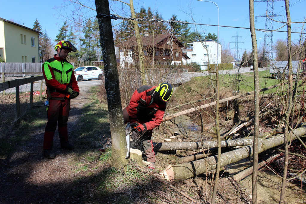 Hoferbach RODUNGEN Hochwasserschutz April 2019 _5_.JPG